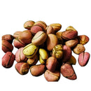 African Kola Nut - Obi Abata - 8 Oz